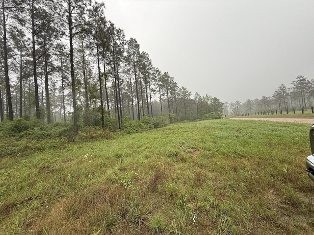 0 Richardson Rd E, Livingston, TX 77351 - photo 50