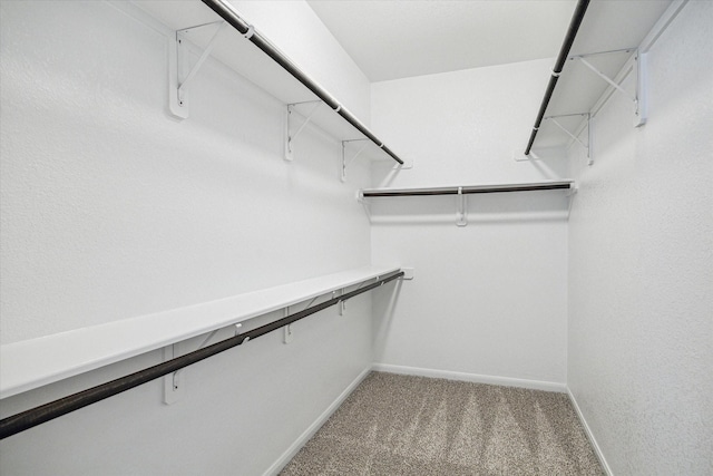 spacious closet featuring light colored carpet