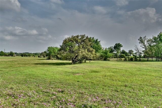 47.8ACRES Fm 141, Giddings, TX 78942