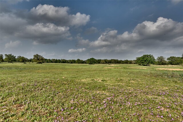 47.8ACRES Fm 141, Giddings, TX 78942