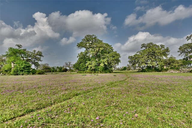 47.8ACRES Fm 141, Giddings, TX 78942