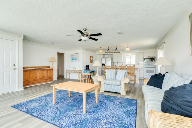 living room featuring light wood-type flooring, a ceiling fan, a textured ceiling, and ornamental molding