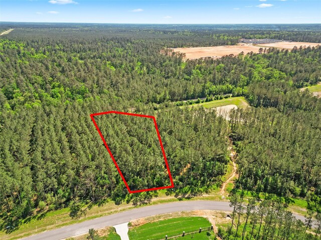 15297 Forest Grove Dr, Willis, TX 77378