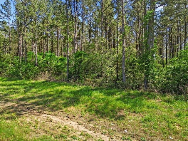 15297 Forest Grove Dr, Willis, TX 77378