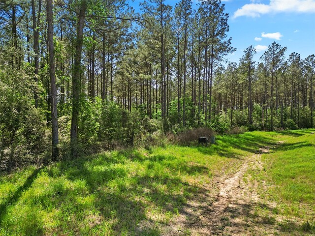 15297 Forest Grove Dr, Willis, TX 77378