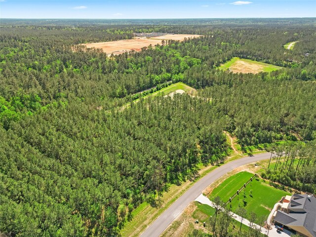 15297 Forest Grove Dr, Willis, TX 77378
