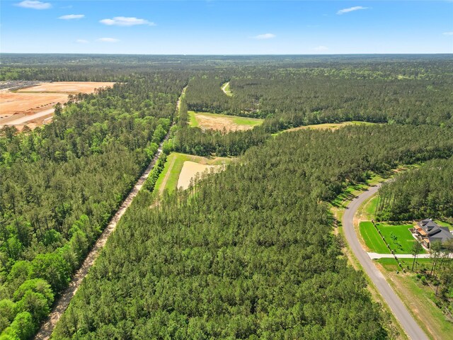 15297 Forest Grove Dr, Willis, TX 77378