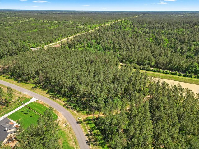 15297 Forest Grove Dr, Willis, TX 77378