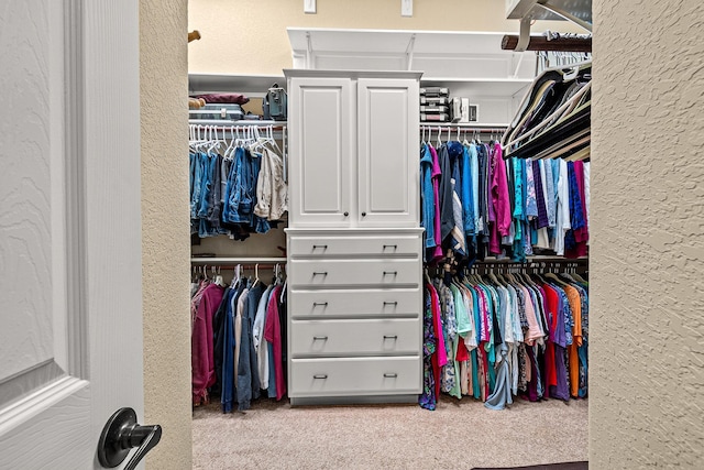 2469 S Bramlet Dr, Conroe, TX 77304 - spacious closet with carpet floors