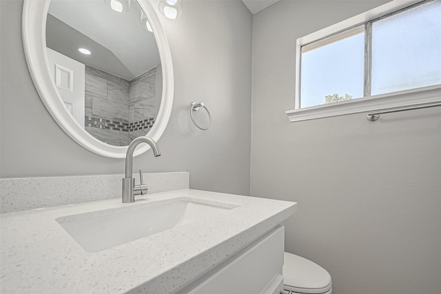 8719 Valley Meadow Dr, Houston, TX 77078 - full bathroom featuring toilet, vanity, and walk in shower