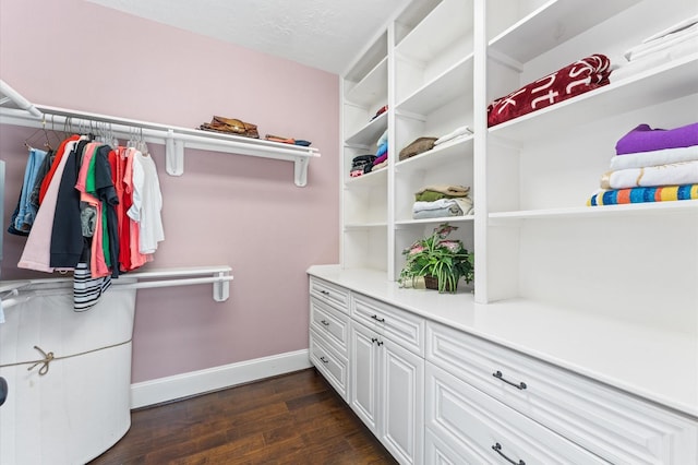 walk in closet featuring dark wood finished floors