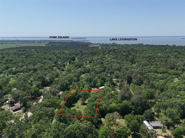 303 Raven, Livingston, TX 77351