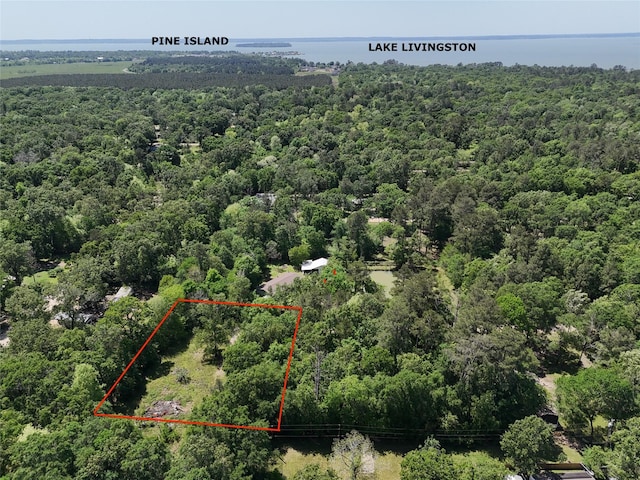 303 Raven, Livingston, TX 77351