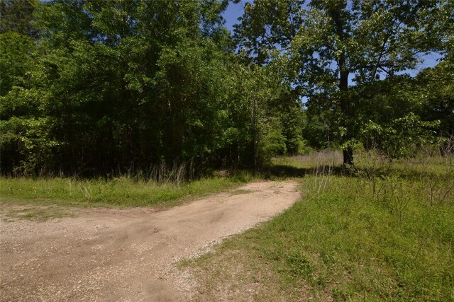 303 Raven, Livingston, TX 77351