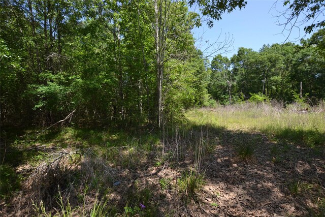 303 Raven, Livingston, TX 77351