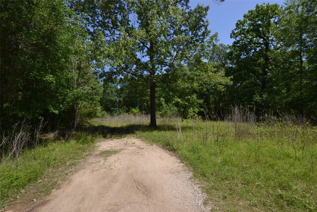 303 Raven, Livingston, TX 77351