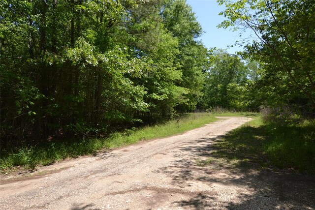 303 Raven, Livingston, TX 77351