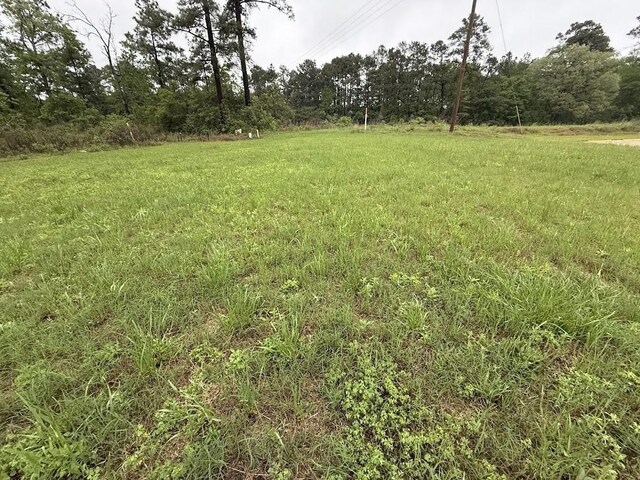0 Pichetto Trl, Livingston, TX 77351