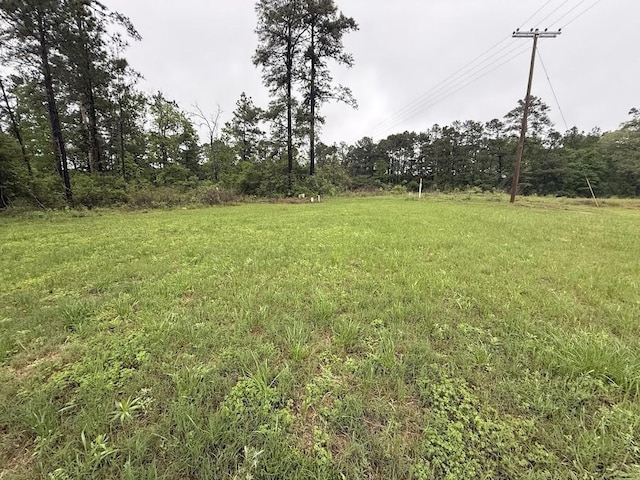 0 Pichetto Trl, Livingston, TX 77351