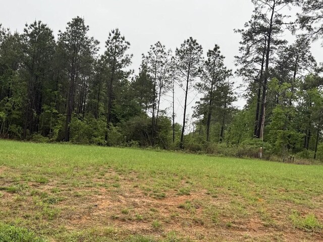 0 Pichetto Trl, Livingston, TX 77351