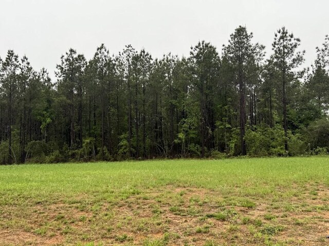 0 Pichetto Trl, Livingston, TX 77351