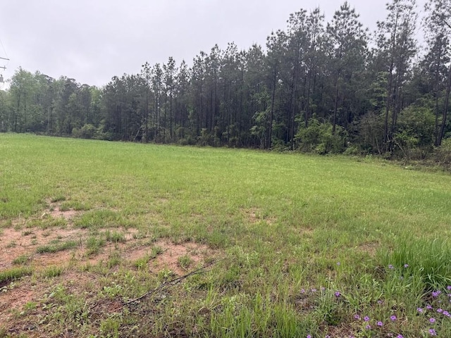 0 Pichetto Trl, Livingston, TX 77351