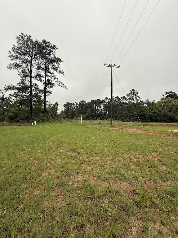 0 Pichetto Trl, Livingston, TX 77351