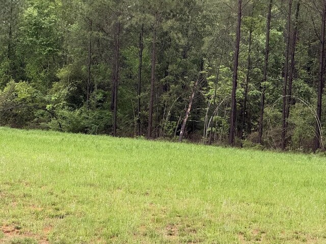 0 Pichetto Trl, Livingston, TX 77351
