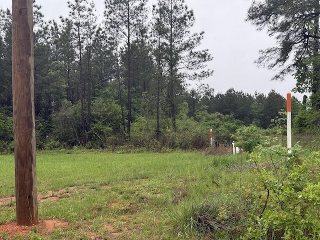 0 Pichetto Trl, Livingston, TX 77351