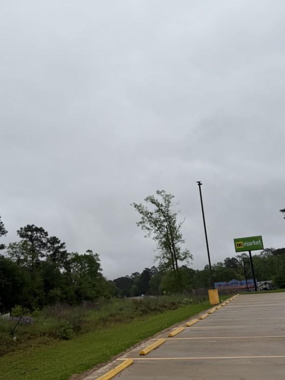 0 Pichetto Trl, Livingston, TX 77351
