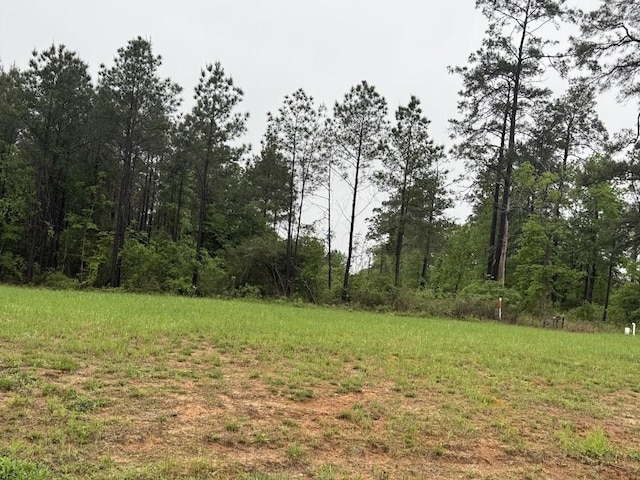 0 Pichetto Trl, Livingston, TX 77351