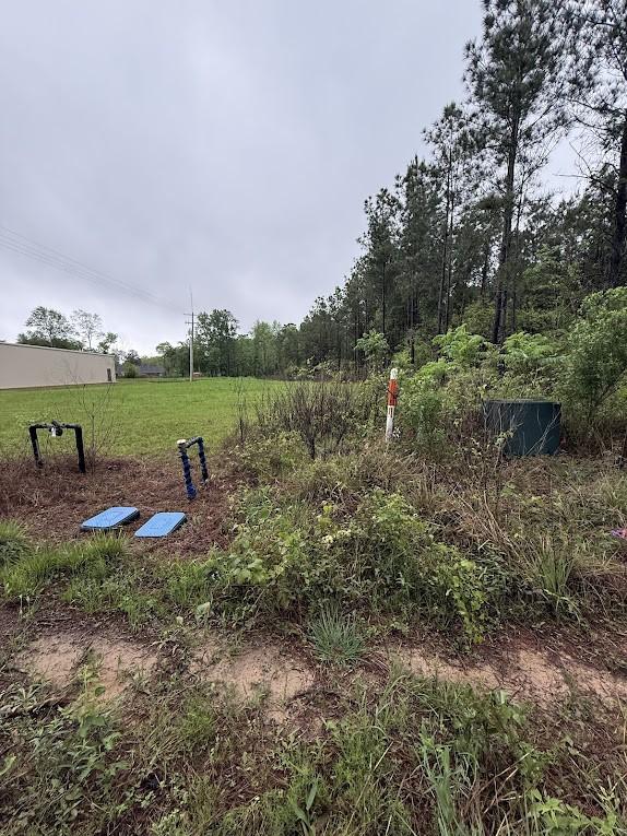 0 Pichetto Trl, Livingston, TX 77351