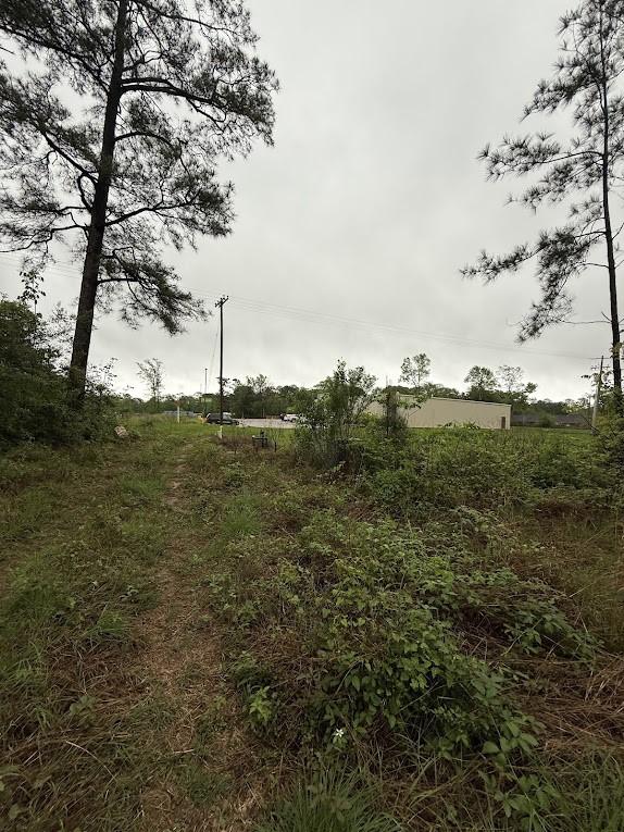 0 Pichetto Trl, Livingston, TX 77351