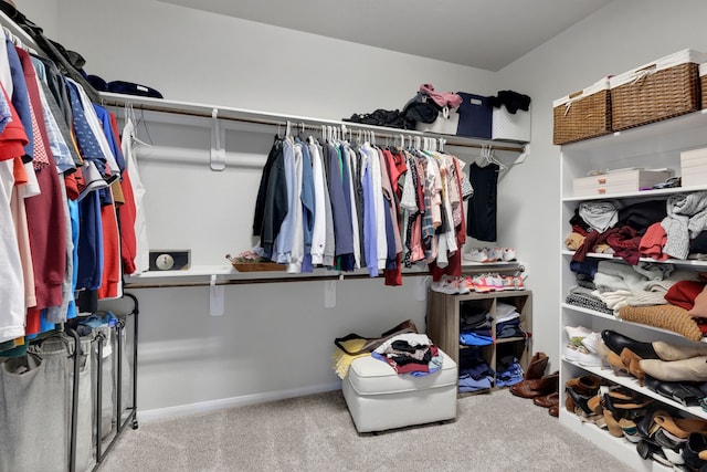 walk in closet with carpet floors