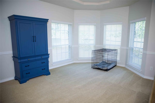 interior space with baseboards and light colored carpet