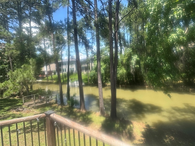 18914 Hikers Trail Dr, Humble, TX 77346 - view of yard with a water view