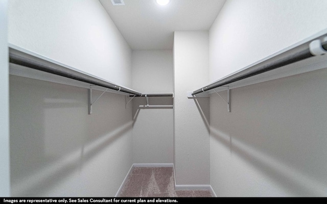922 Alaska Cedar Dr, Crosby, TX 77532 - spacious closet with carpet floors