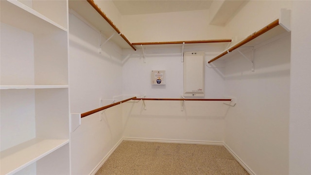 16410 Bluff Springs Dr, Houston, TX 77095 - walk in closet with carpet