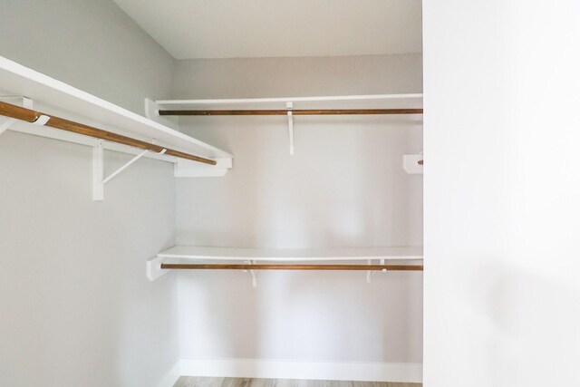 spacious closet featuring light wood finished floors