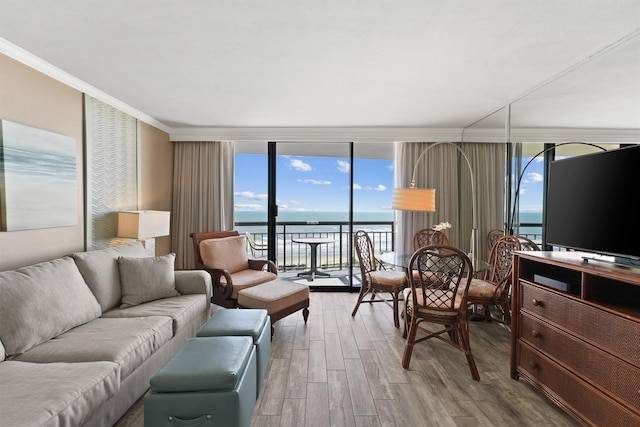 5220 Seawall Blvd Unit 1134C, Galveston, TX 77551 - living room with a wall of windows, crown molding, wood finished floors, and a healthy amount of sunlight