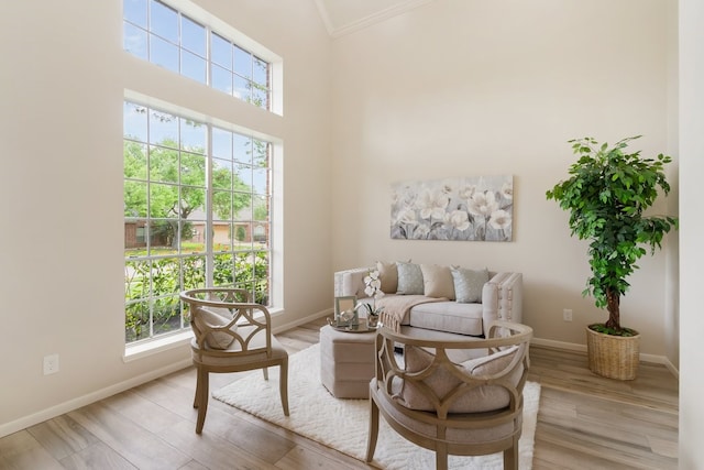living area with ornamental molding, baseboards, and light wood finished floors