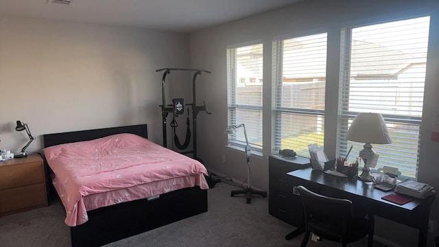 10427 Cecilia Star Ln, Richmond, TX 77406 - bedroom with visible vents, multiple windows, and carpet