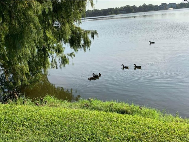 18614 Prince William Ln, Houston, TX 77058 - property view of water