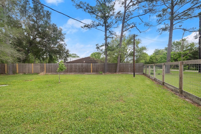 8703 County Road 48, Rosharon, TX 77583 - view of yard