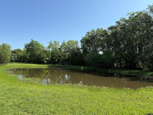 8703 County Road 48, Rosharon, TX 77583 - water view featuring a heavily wooded area