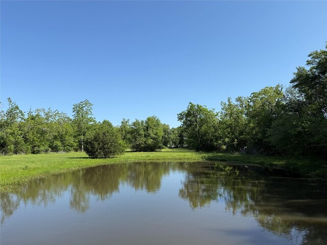8703 County Road 48, Rosharon, TX 77583 - water view featuring a heavily wooded area