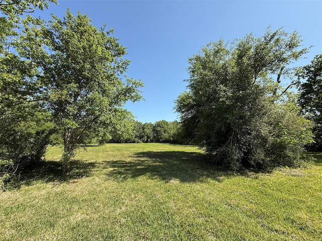 8703 County Road 48, Rosharon, TX 77583 - view of grassy yard