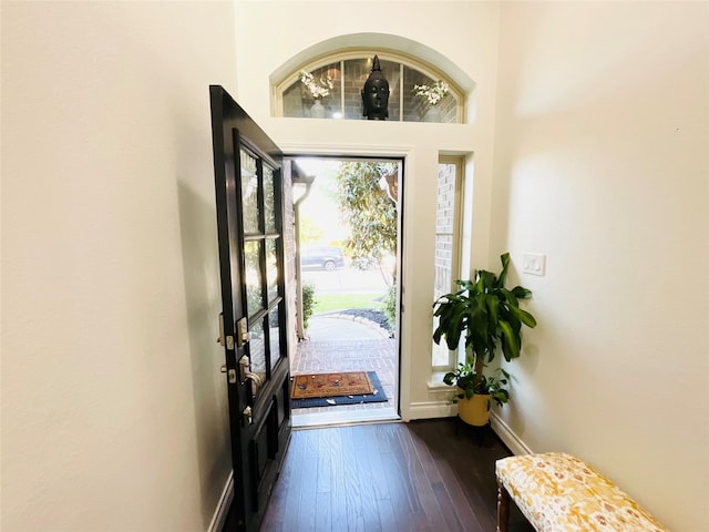 entrance foyer featuring baseboards and dark wood-type flooring