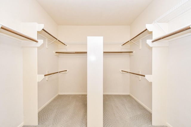 walk in closet with carpet floors