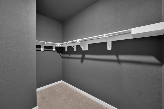 walk in closet with carpet floors